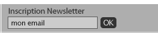 Inscription Newsletter