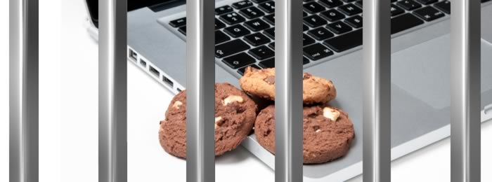 Cookies et liberté, la loi 