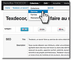 Vue du backoffice de gestion de contenu du site web