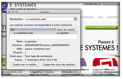 Le cookie de session sur le site E SYSTEMES