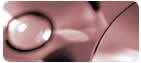 Developpement CD-Rom
